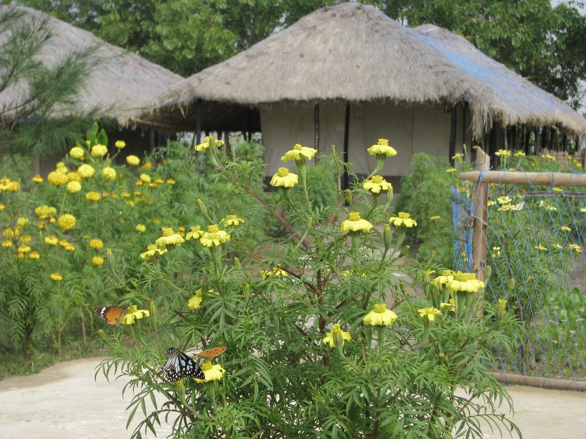 Estuarine Village Resort Sātabhāya Zewnętrze zdjęcie